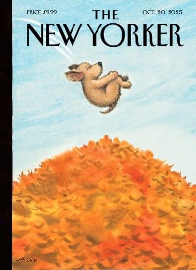NEW YORKER, THE / USA Abo